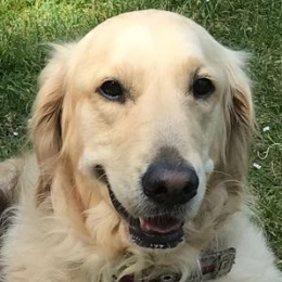 Nala profile