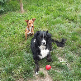 Hiro et snoop profile