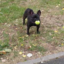 émilie profile