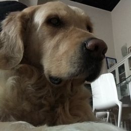 Nathan profile