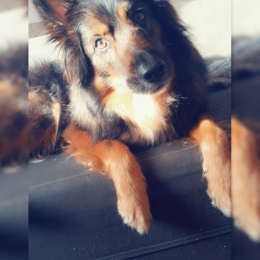 Jumpy profile