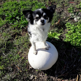 Marie  christine profile