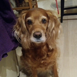 Gina profile