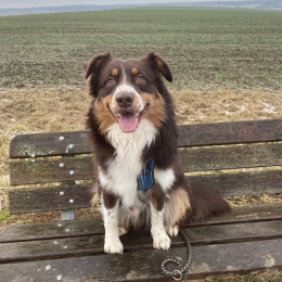 Maelys profile
