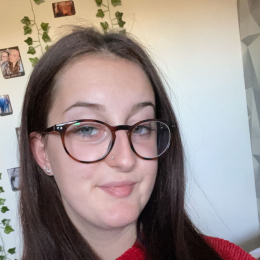 Ines profile