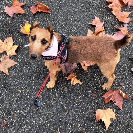 Eloise profile