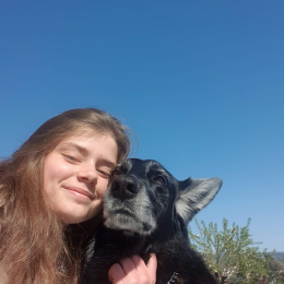 Perritaz profile