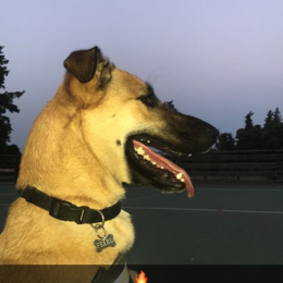 Hanae profile