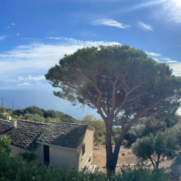 Floriane profile