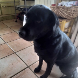 Marilou (et mathis) profile