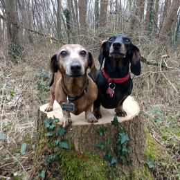Hanka et  easy profile