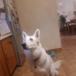 Haziel profile