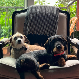 Simone et uguette profile