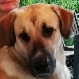 Ragnar profile