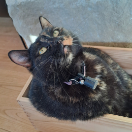 Florelle profile
