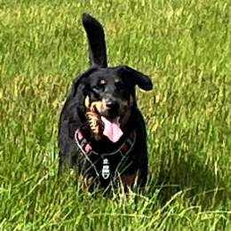 Nina profile