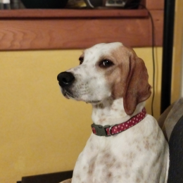 Rita profile