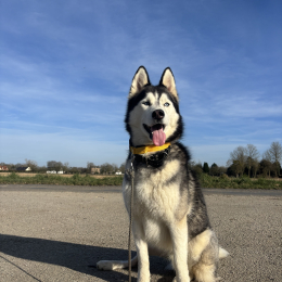 Texas profile