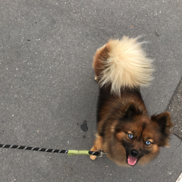 Winnie profile