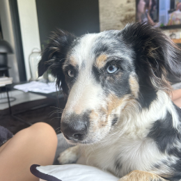 Vaïa profile