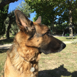 Theo profile