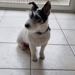 Nahla profile