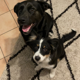 Atlas et skylar profile