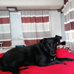 Doudou profile