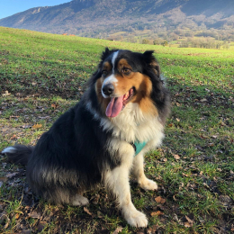 Olaf profile