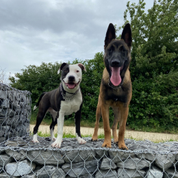 Rayleen et ramsès profile