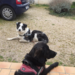 Iris et maika profile