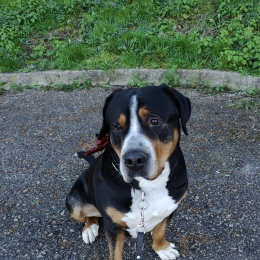 Byron profile