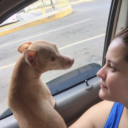 Mariell profile