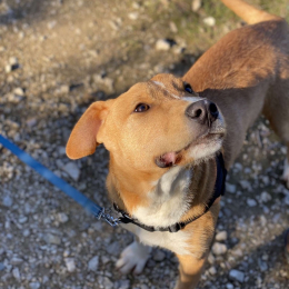 Béni profile