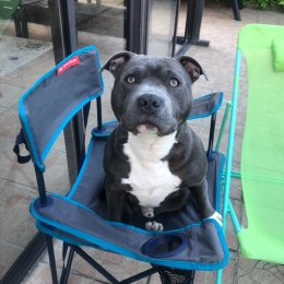 Tyson profile