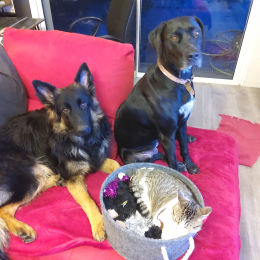 Plume et spok profile