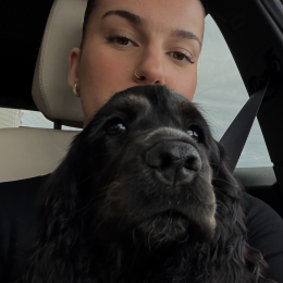 Ines profile