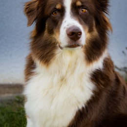 Rita profile