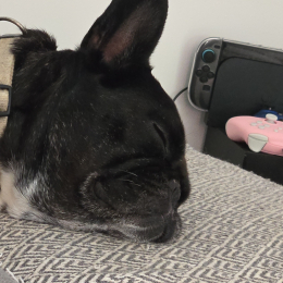 Oliver profile