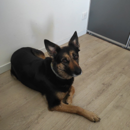 Lilou profile