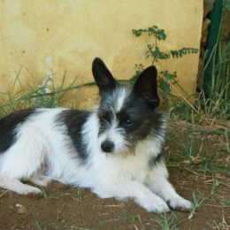 Johy et keskya profile