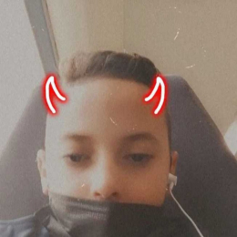 Walid profile