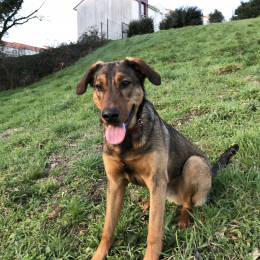 Gordon profile