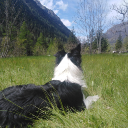 Lilly profile