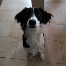 Olia et bouille profile