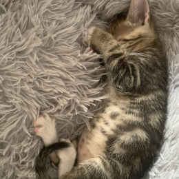 Zack et zoe profile