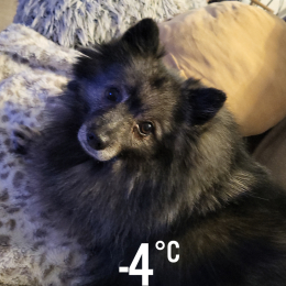 Julia des merveilles profile