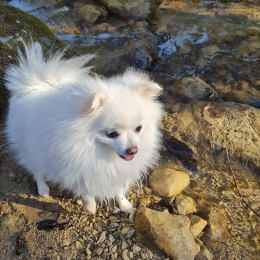 Myla profile