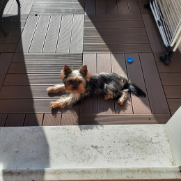 Mm martine pierre profile