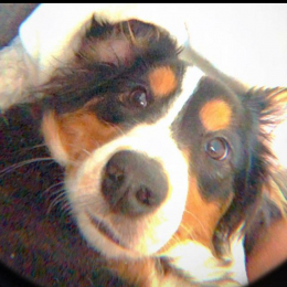 Riley profile